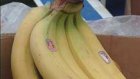 Спрос на бананы резко повысился