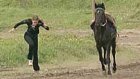 Жокеи участвовали в скачках наравне с лошадьми