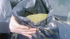 Сотрудники УФСКН изъяли более 17 килограммов наркотиков