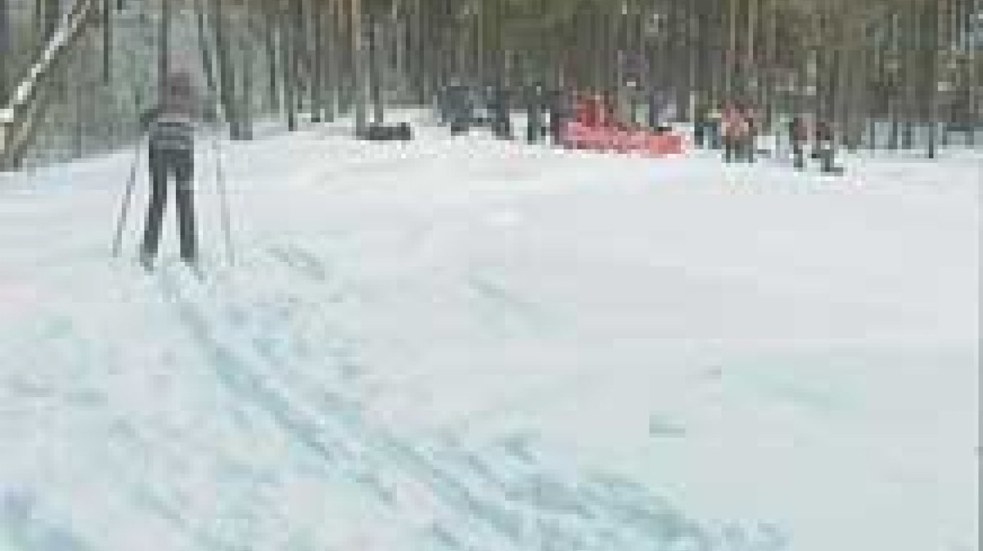 Лыжные туристы преодолели полосу препятствий