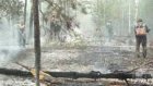 В Лунинском районе выгорело 300 гектаров леса