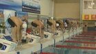 Пловцы-силовики мечтают об Олимпиаде