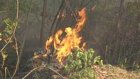 Пожары уничтожают Пензенскую область