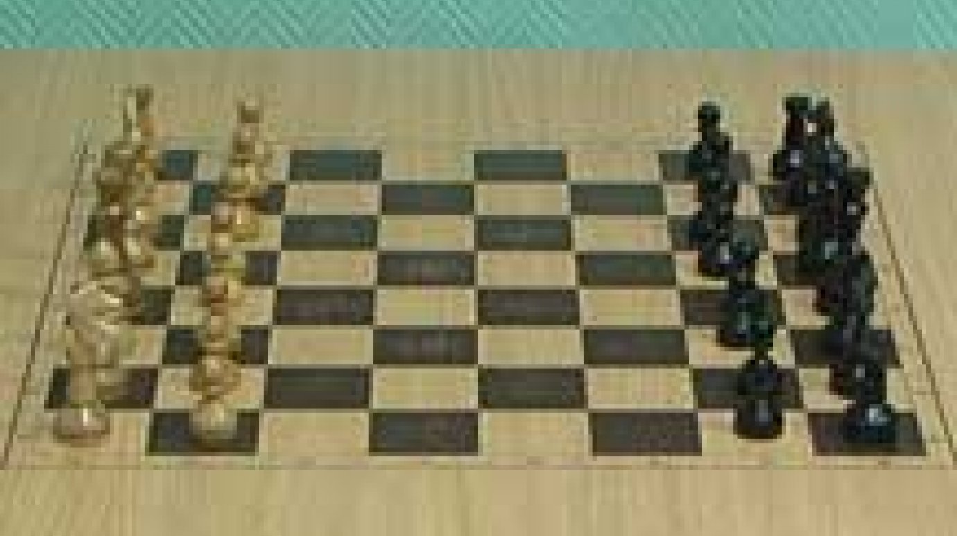 Пензенские шахматисты выявили умнейших