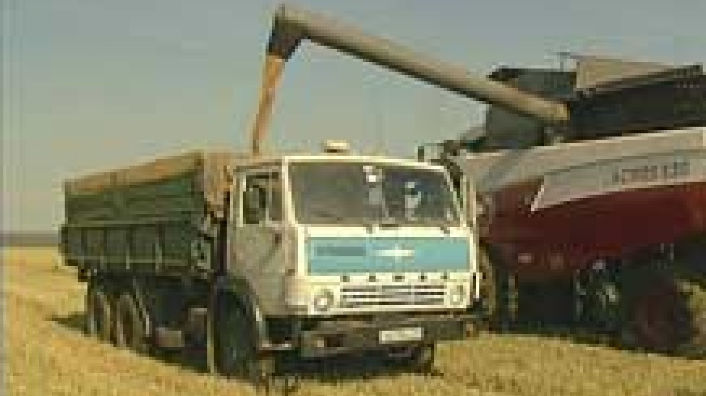 В Сурском крае соберут рекордный урожай зерна