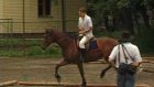 Любители лошадей устроили ковбойские соревнования