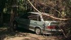 На Западной Поляне дерево повредило машину