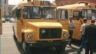 Сельские школьники пересядут на новые автобусы