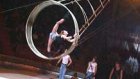 Цирк «Витали» привез в Пензу «Колесо смерти»