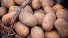 У жительницы Пензенской области похитили 320 кг картофеля