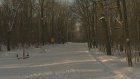 В Пензе «Лыжню России - 2012» отменили из-за 30-градусных морозов