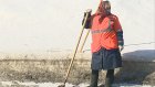 Коммунальщикам потребуется две недели на уборку грязного снега