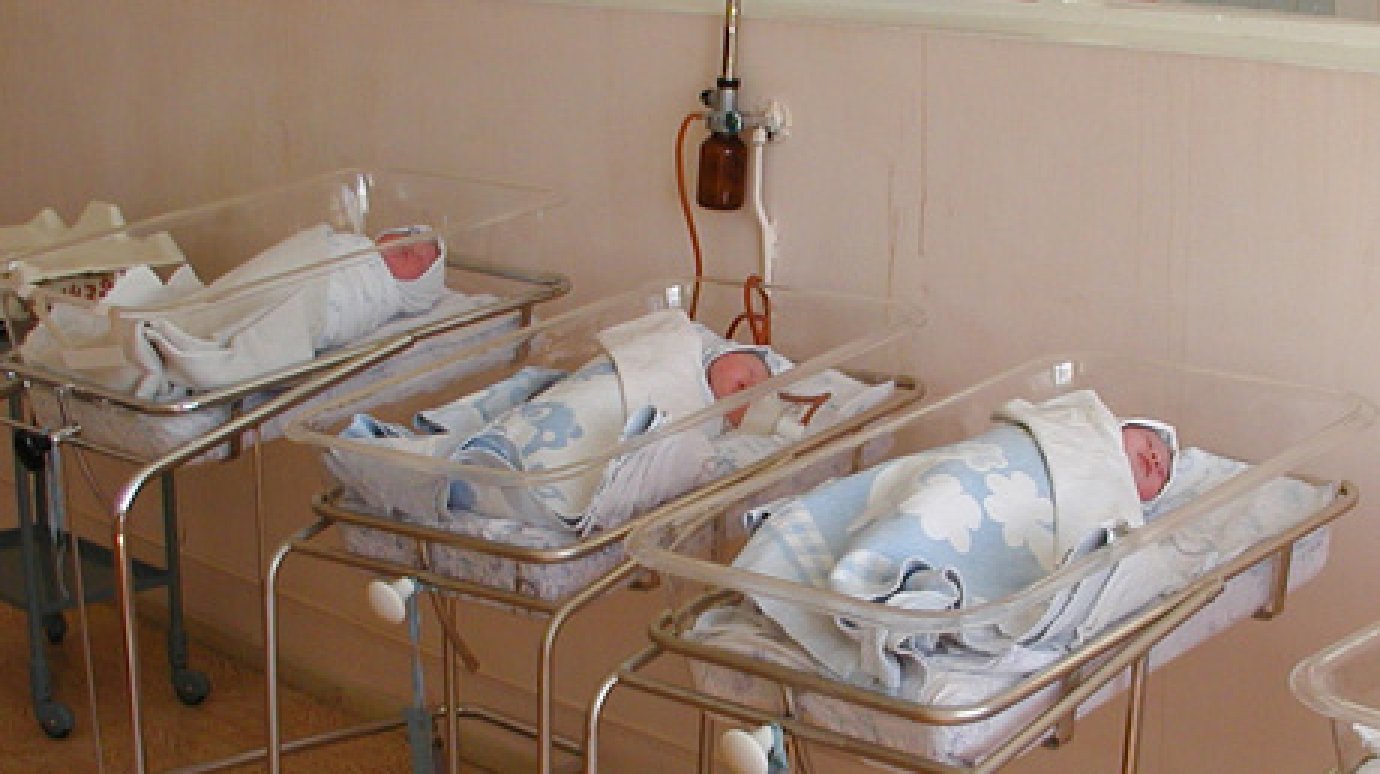 В Пензенской области рождаемость выросла на 6,9%