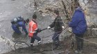 На расчистку ливневой канализации в Арбекове отправили водолазов
