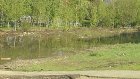 На улице Донецкой питьевая вода тоннами утекает в болото
