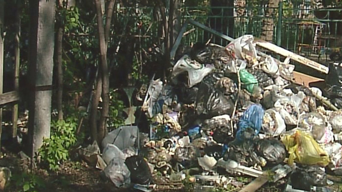 Нерадивые пензенцы завалили сушилку на ул. Вяземского мусором