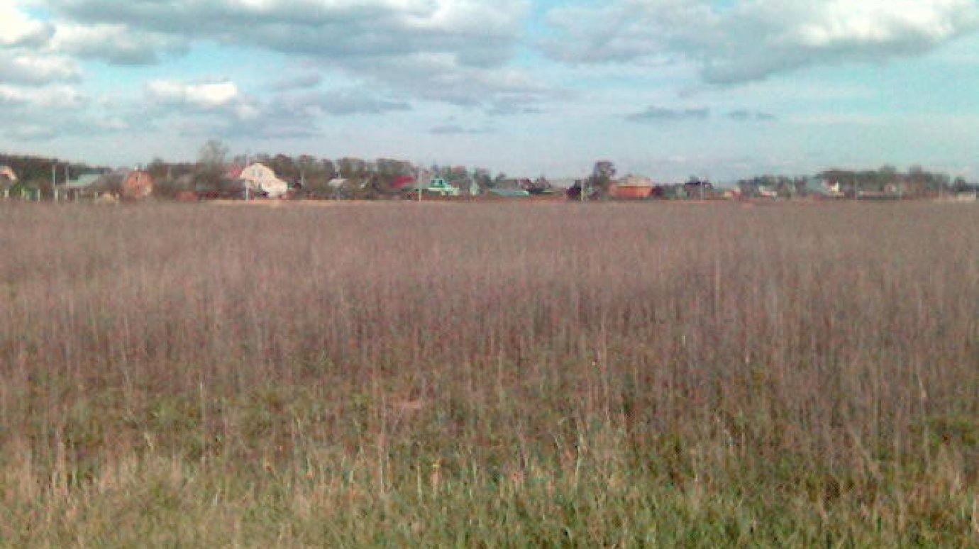В Малосердобинском районе земли заросли бурьяном