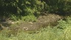 Жители села Грабово превратили речку Колоярку в свалку