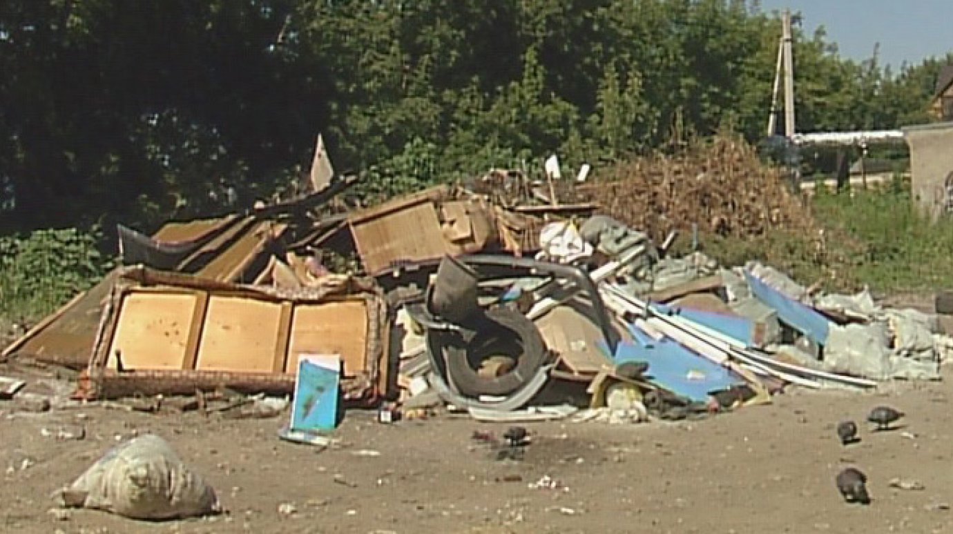 Бомжи ежедневно потрошат мусорку на Ленинградской
