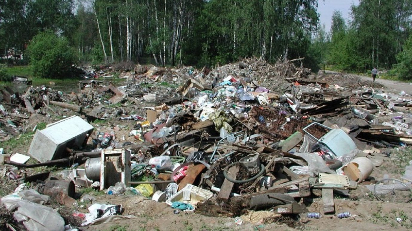 Возле села Русский Камешкир выявлено семь стихийных свалок