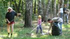 Жителей Пензы привлекут к очистке городских лесных массивов