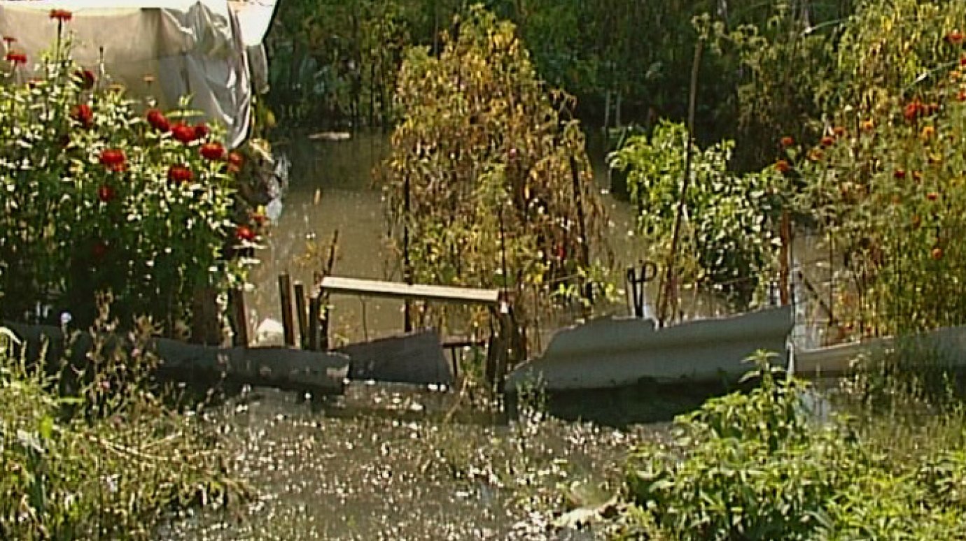 Набережную реки Мойки затопило канализационной жидкостью