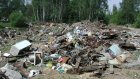 Зареченцы начали очищать родной город от мусора