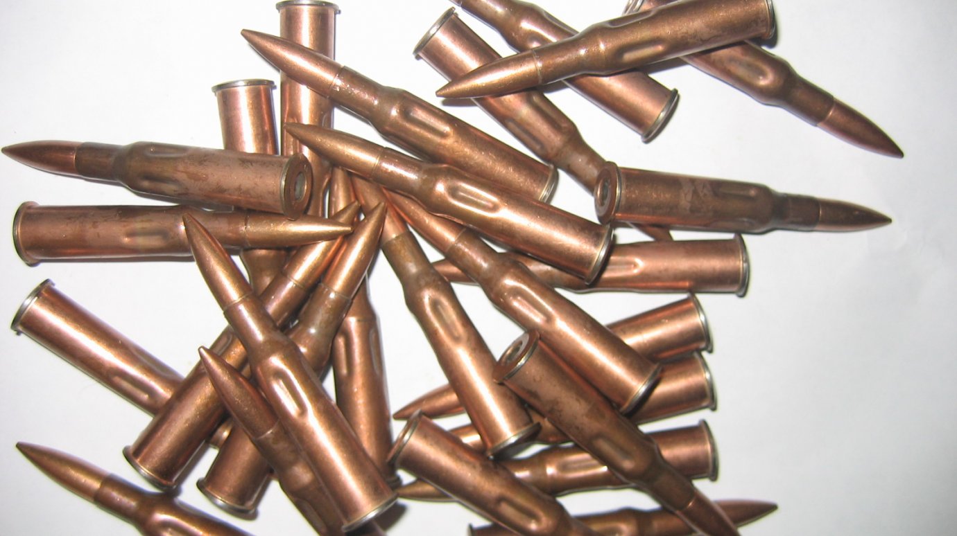 У жителя Пензы обнаружены боеприпасы для огнестрельного оружия