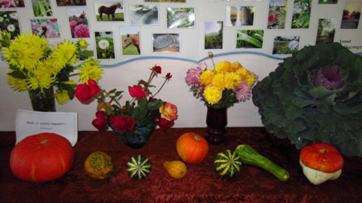 В Белинском районе начала работу осенняя выставка цветов и плодов