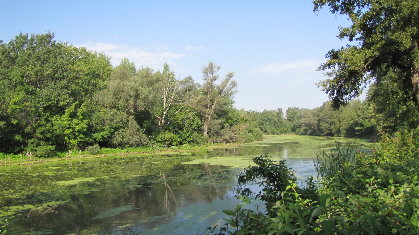 В Пензенской области за три года расчистят речные русла
