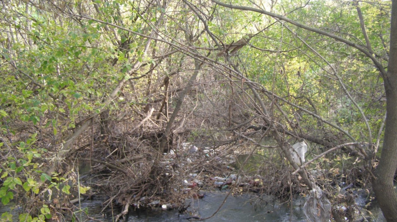 Жители Каменки заваливают берега реки Атмис мусором и навозом