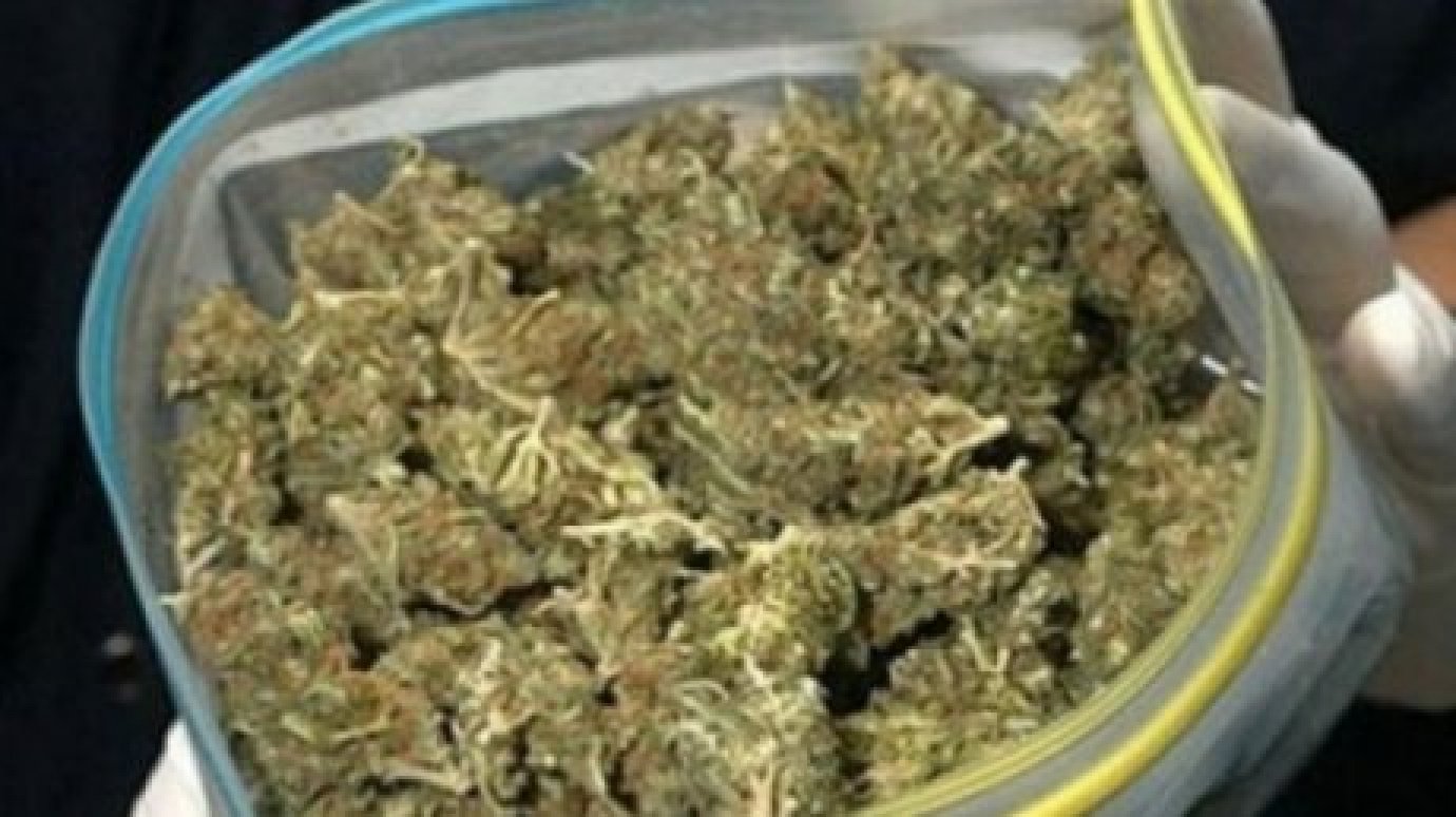 В Городищенском районе полицейские обнаружили в машине марихуану
