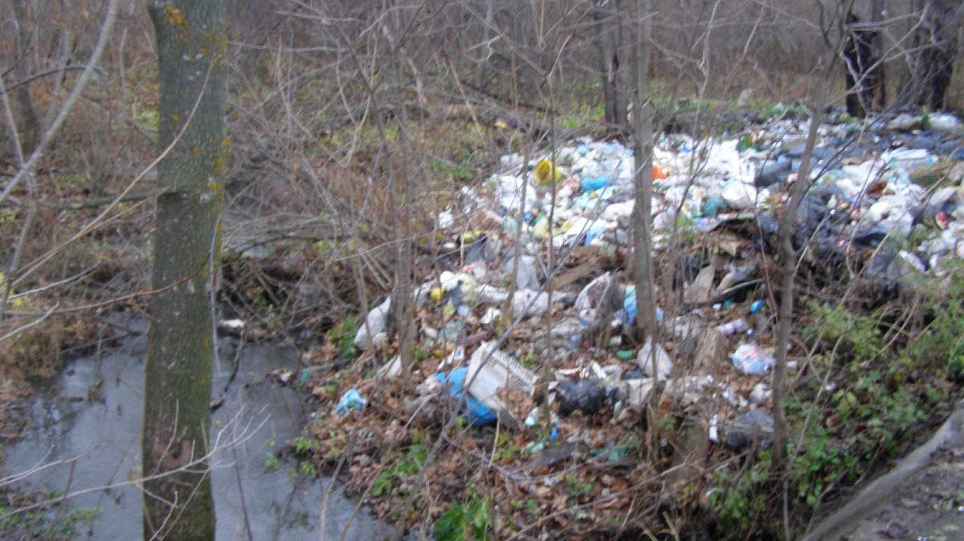 На берегу ручья Мойка обнаружена свалка отходов
