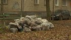Коммунальщики целый год не вывозили мусор с улицы Ленинградской