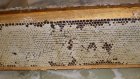 В Нижнеломовском районе сельчанин обокрал пчеловода