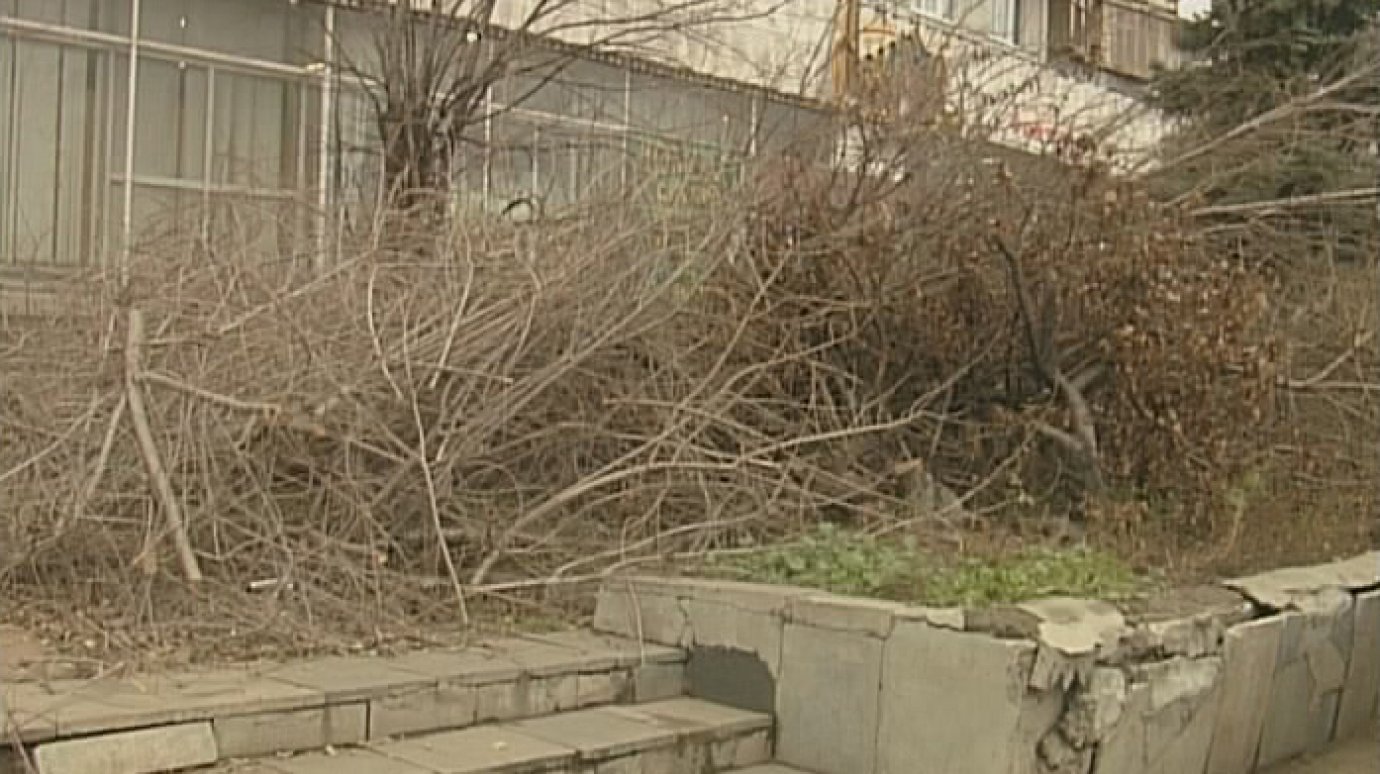 Пензенцам с улицы Карпинского нанесли ущерб в размере 146 тысяч