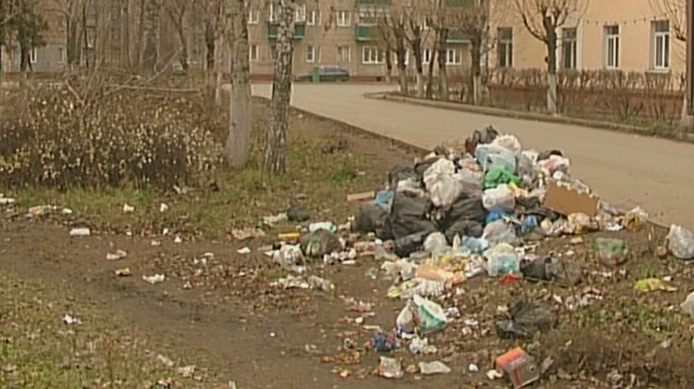 Пензенцы предпочитают выбрасывать мусор возле чужих домов
