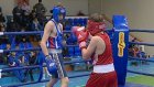 Боксеры сразились за путевку на Спартакиаду школьников России