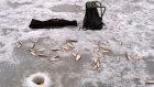 Водолазы достали из-подо льда неверкинского рыбака