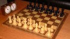 В Пензе подвели итоги областного чемпионата по шахматам