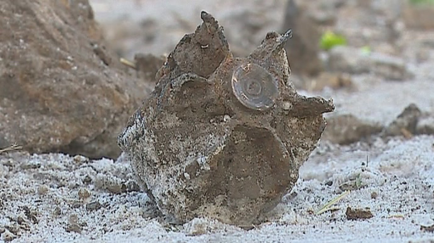 На пензенском кладбище обнаружили осколок боевой мины