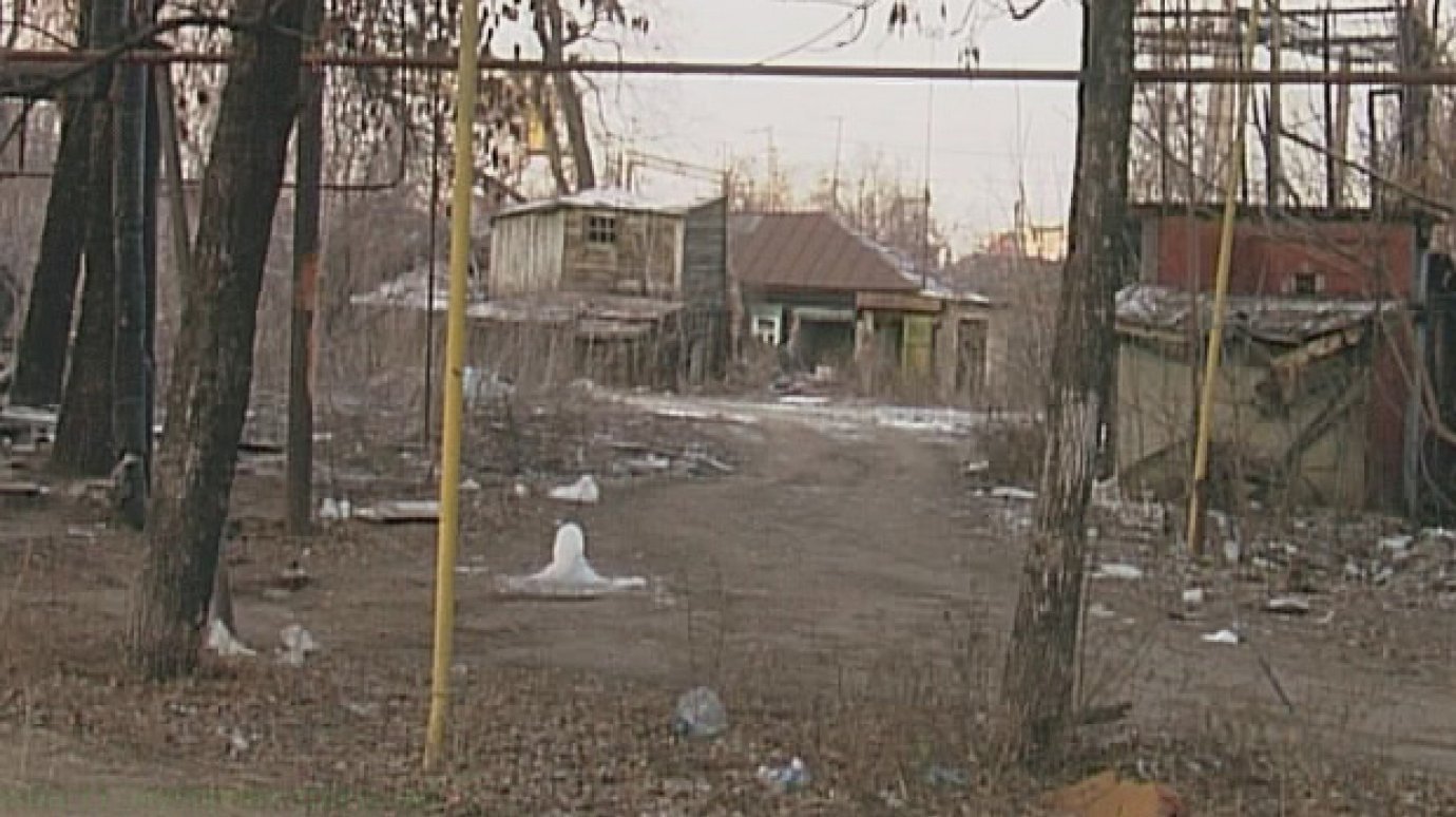 Дворы на улице Московской заросли мусором