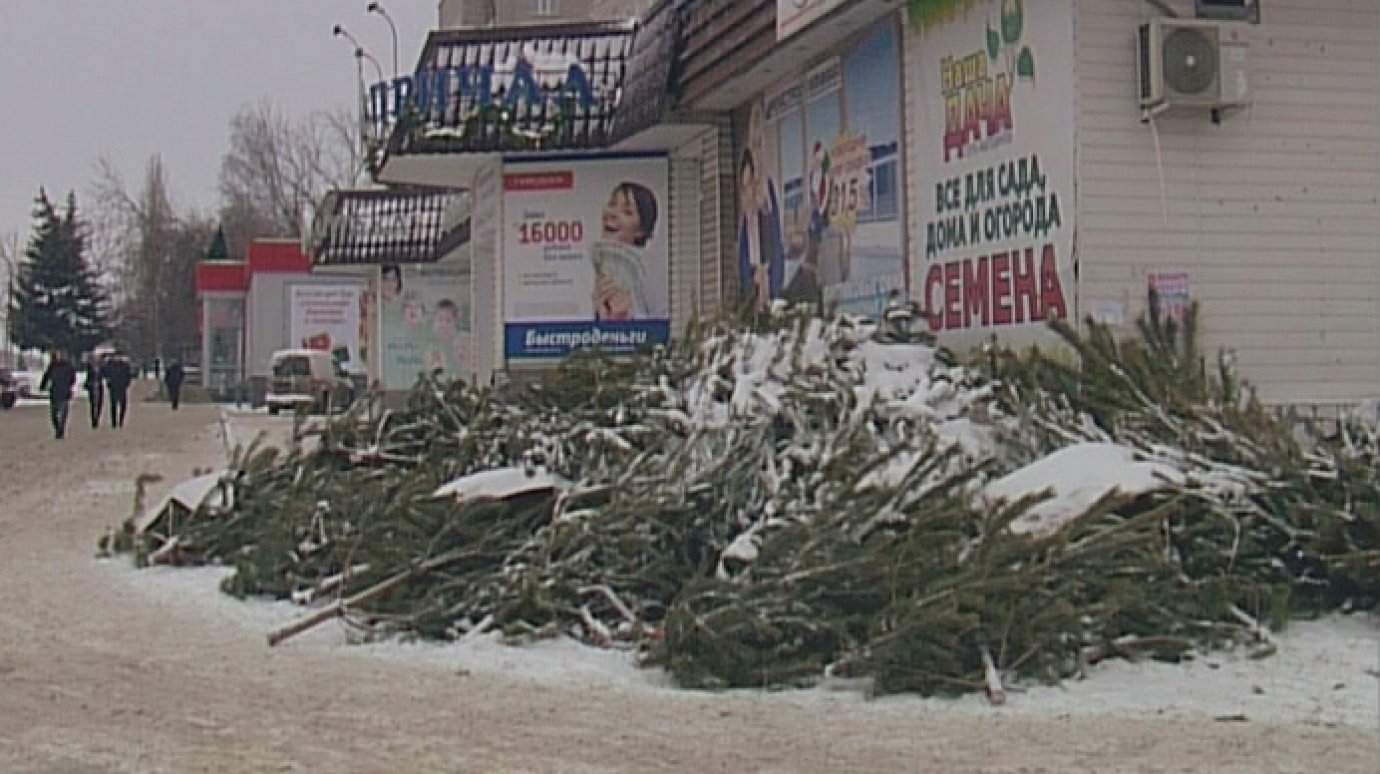 На улицах Пензы валяются не проданные до Нового года елки