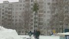 Коммунальщики превратили елку на улице Кижеватова в пальму