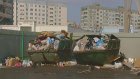 Пензенцы из Терновки просят оградить их мусорку со всех сторон