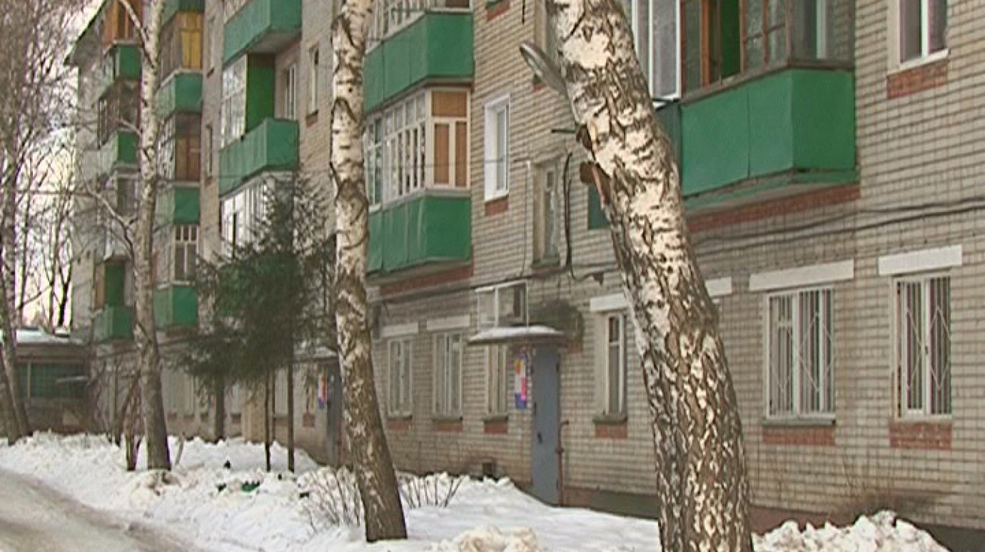 Кошатница с улицы Леонова испортила жизнь всем соседям