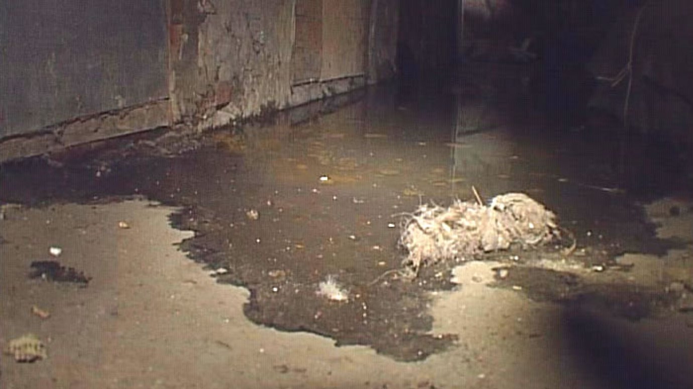 Подвал дома на Кронштадтской заливает канализационными водами