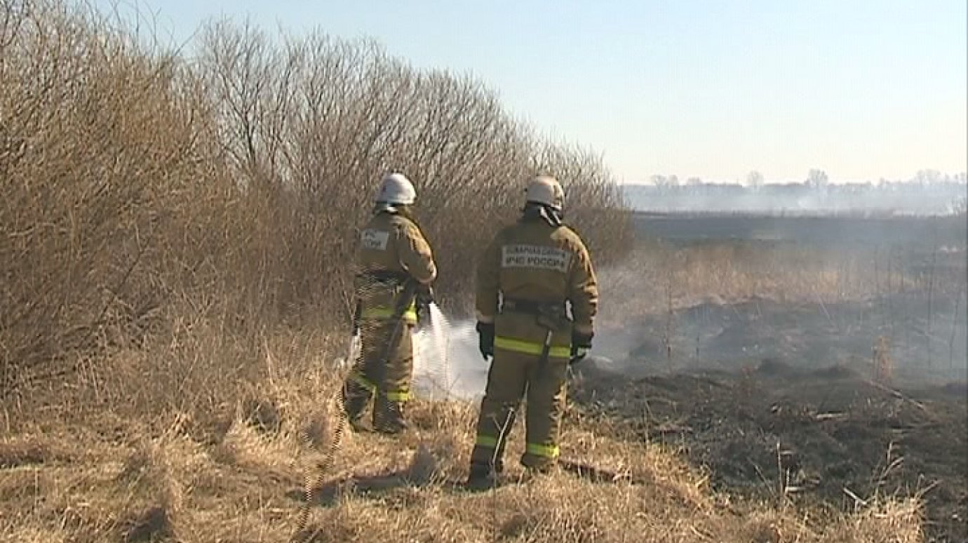 В Пензенской области участились случаи возгорания травы