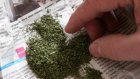 Житель Пензы хранил марихуану в коробке из-под чая