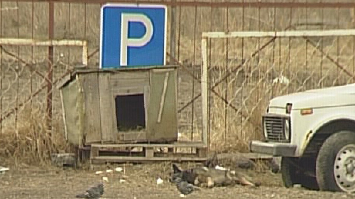 Жители микрорайона Арбеково потеряли сон из-за пса-охранника